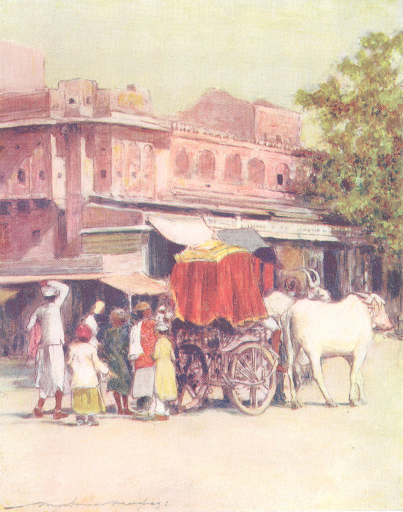 INDIA. A native bull-cart, Jaipur 1905 old antique vintage print picture